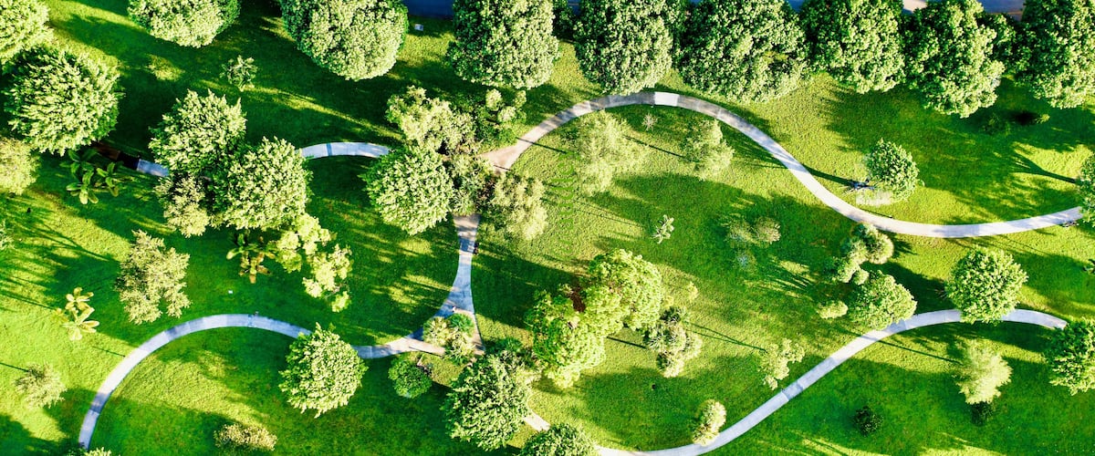 Aerial view of a beautiful green park in Fort Lauderdale, Florida
