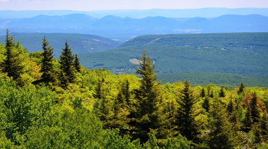 แซนสตัน