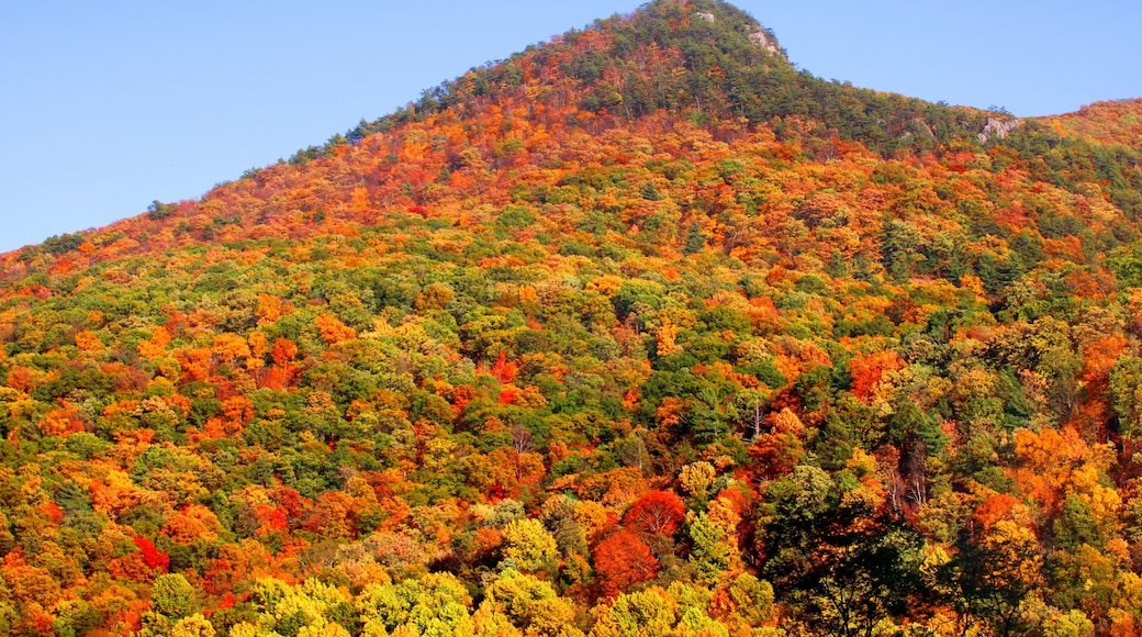 แซนสตัน