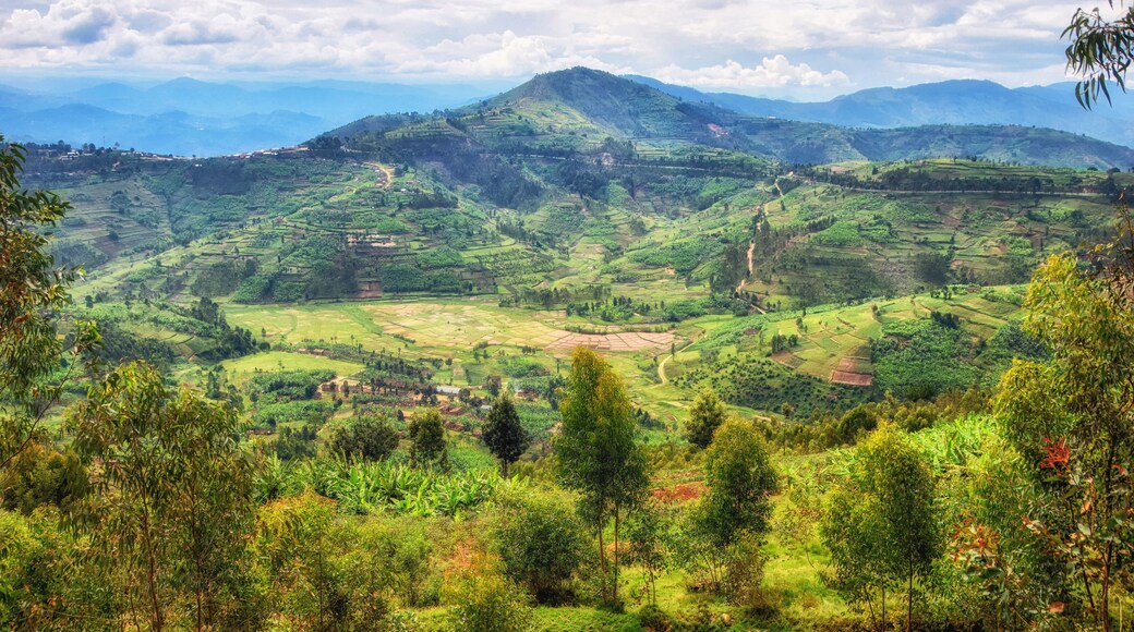 Rural Landscape Rwanda