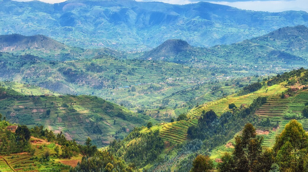 Rural Landscape Rwanda