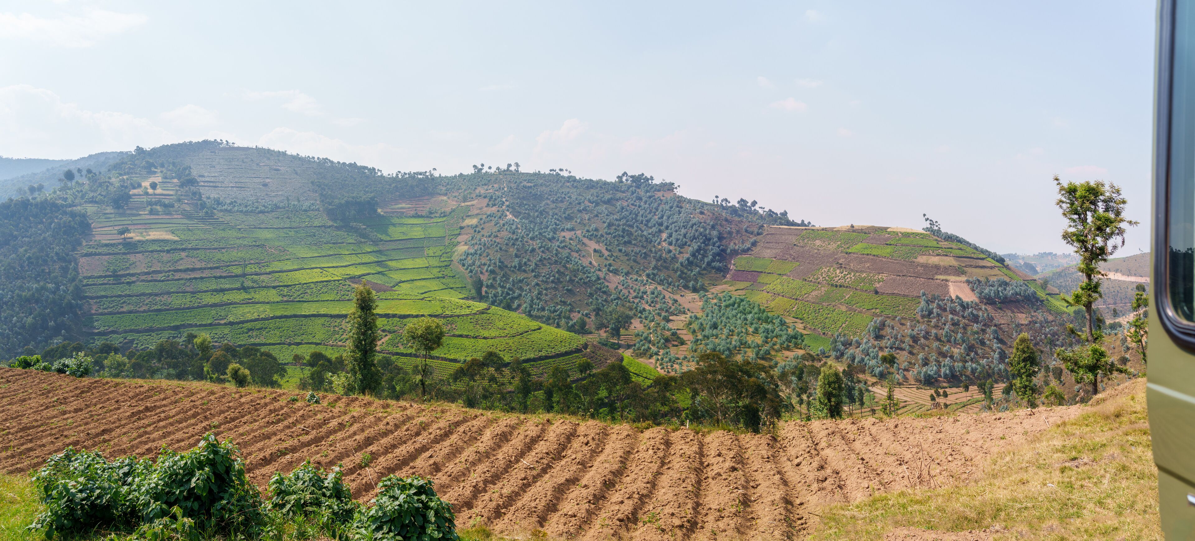 Terraced fields, a hilly landscape, and a distant tree line.