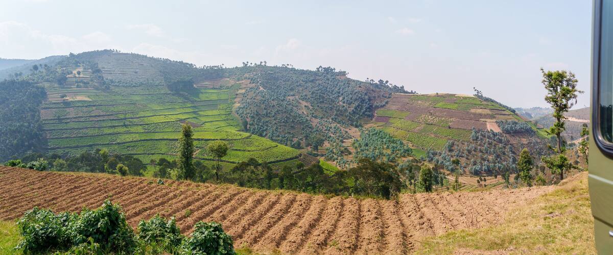 Terraced fields, a hilly landscape, and a distant tree line.