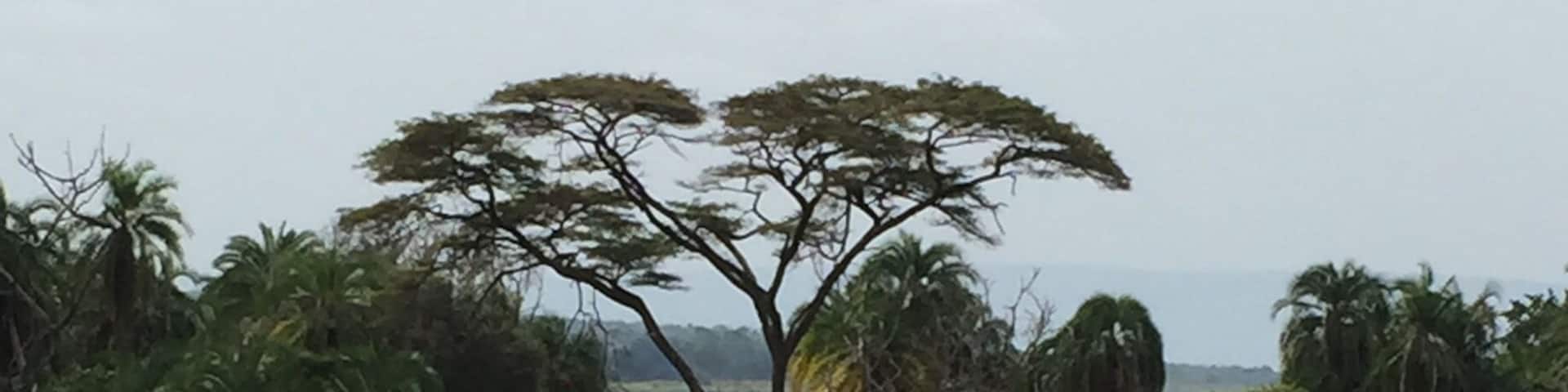 Akagera National Park in Rwanda was a beautiful place. The varied terrains provide for a wealth of animals and birds.