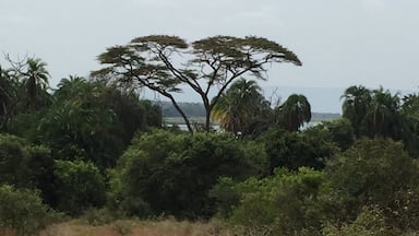 Akagera National Park in Rwanda was a beautiful place. The varied terrains provide for a wealth of animals and birds.