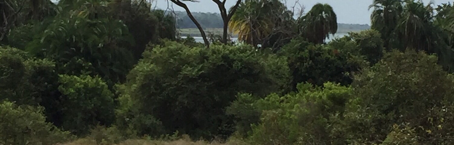 Akagera National Park in Rwanda was a beautiful place.  The varied terrains provide for a wealth of animals and birds.