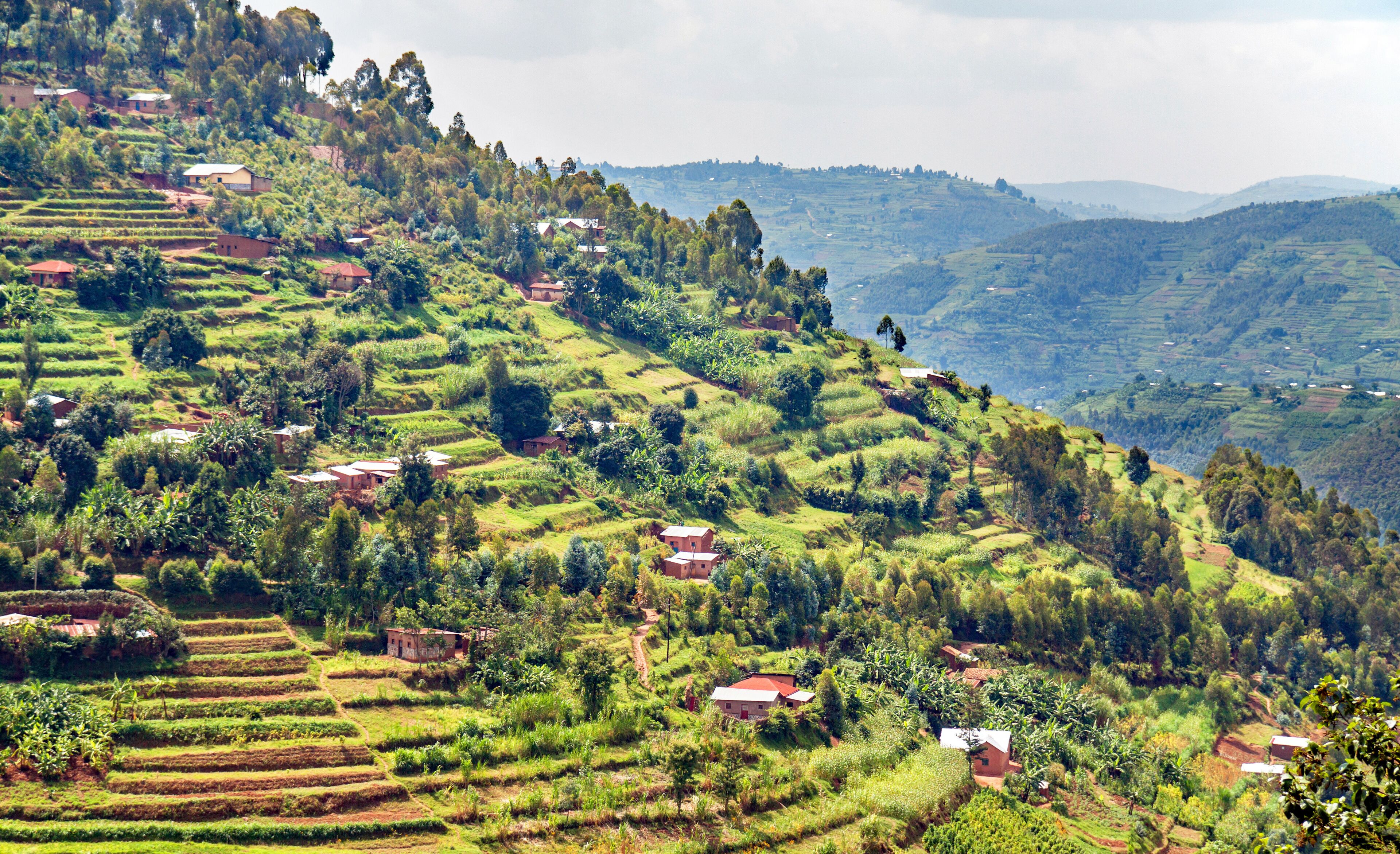 บูเชเคริ