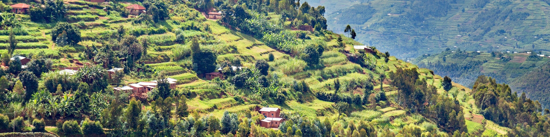 Campos em socalcos, casas e uma paisagem montanhosa.