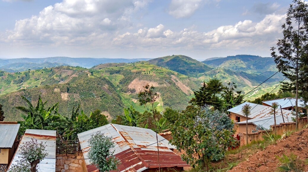 บูเชเคริ