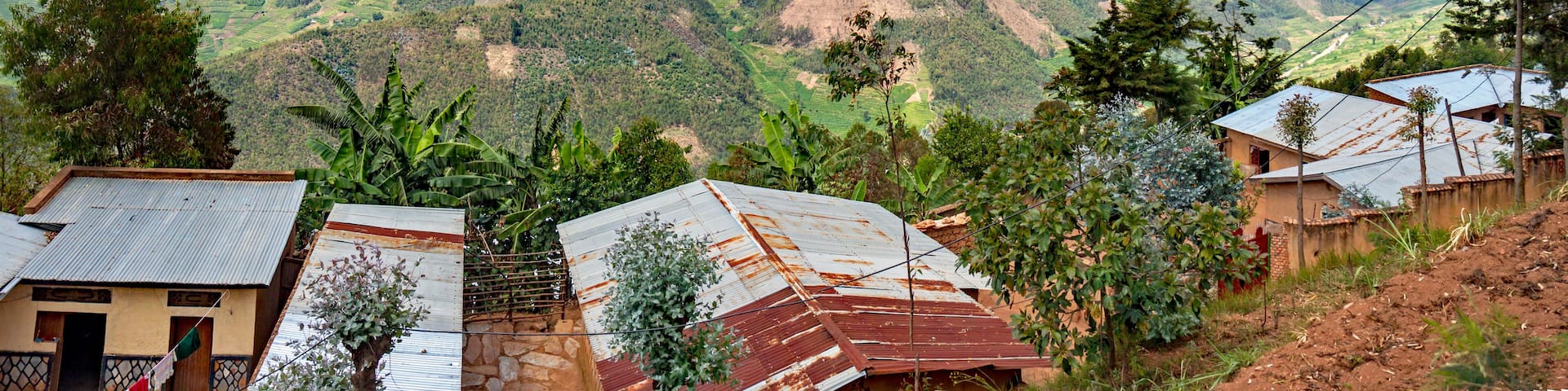 A steep hill in the Muvumba river valley in Rwanda, entirely covered with terraced fields and dotted with houses.