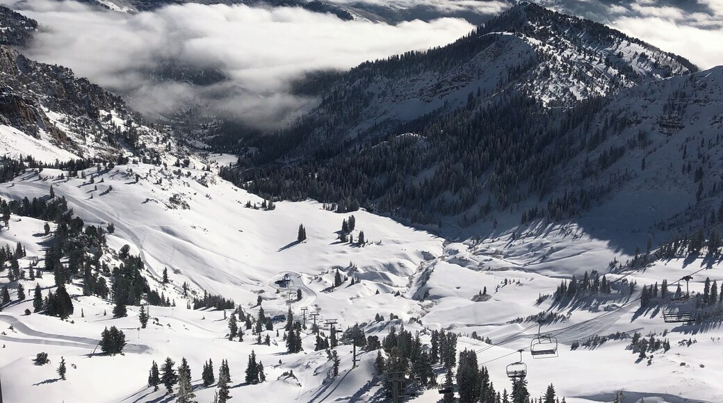 On top of snowbird with amazing views and even better skiing