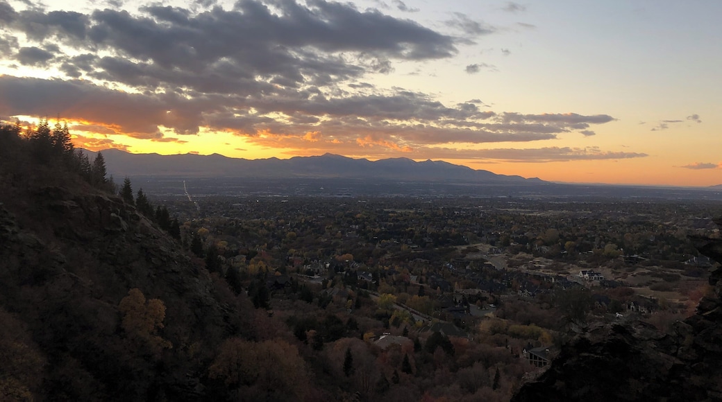 Nice sunset view today