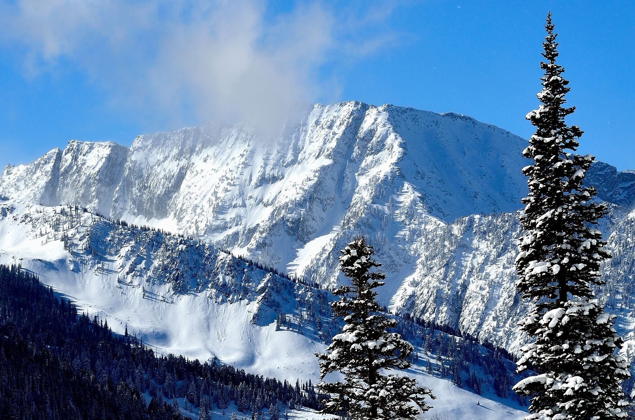 A snow-covered mountain range with a prominent peak and evergreen trees in the foreground.