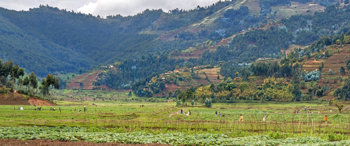 A rural landscape with terraced fields, a valley, and a forested mountain.