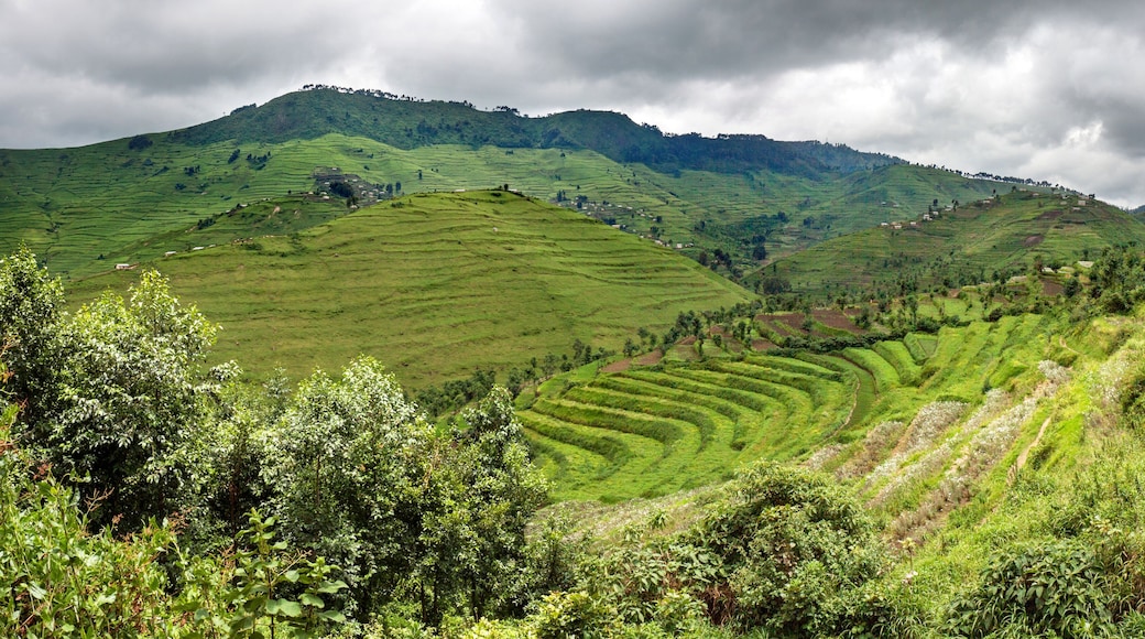 Radical terracing in Rwanda