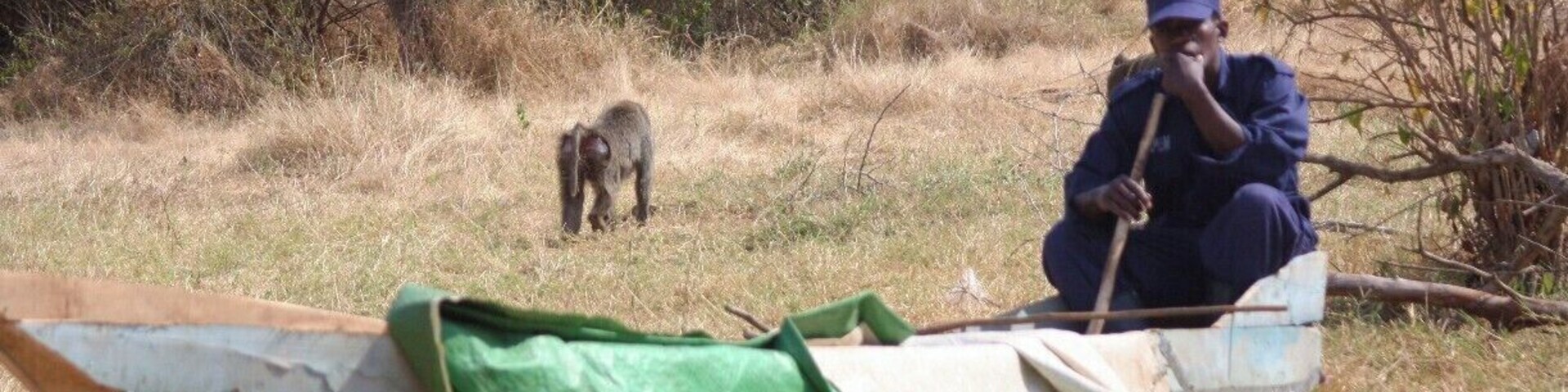 #TroveOn on A baboon guarding his territory while a park guide takes a break in Akagera National Park. #Rwanda #Akagera #Baboon