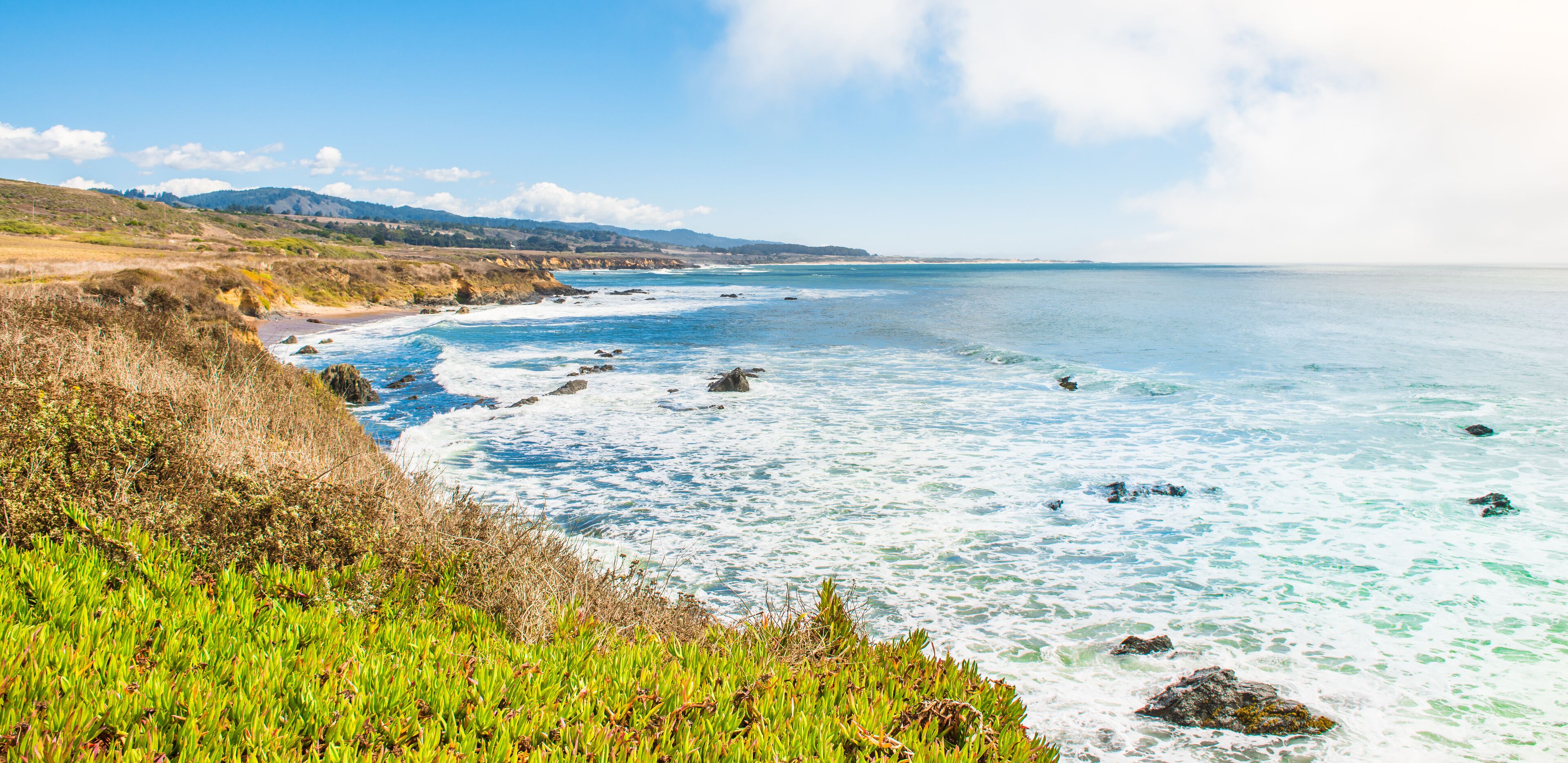 Visit Santa Cruz: 2026 Travel Guide for Santa Cruz, California