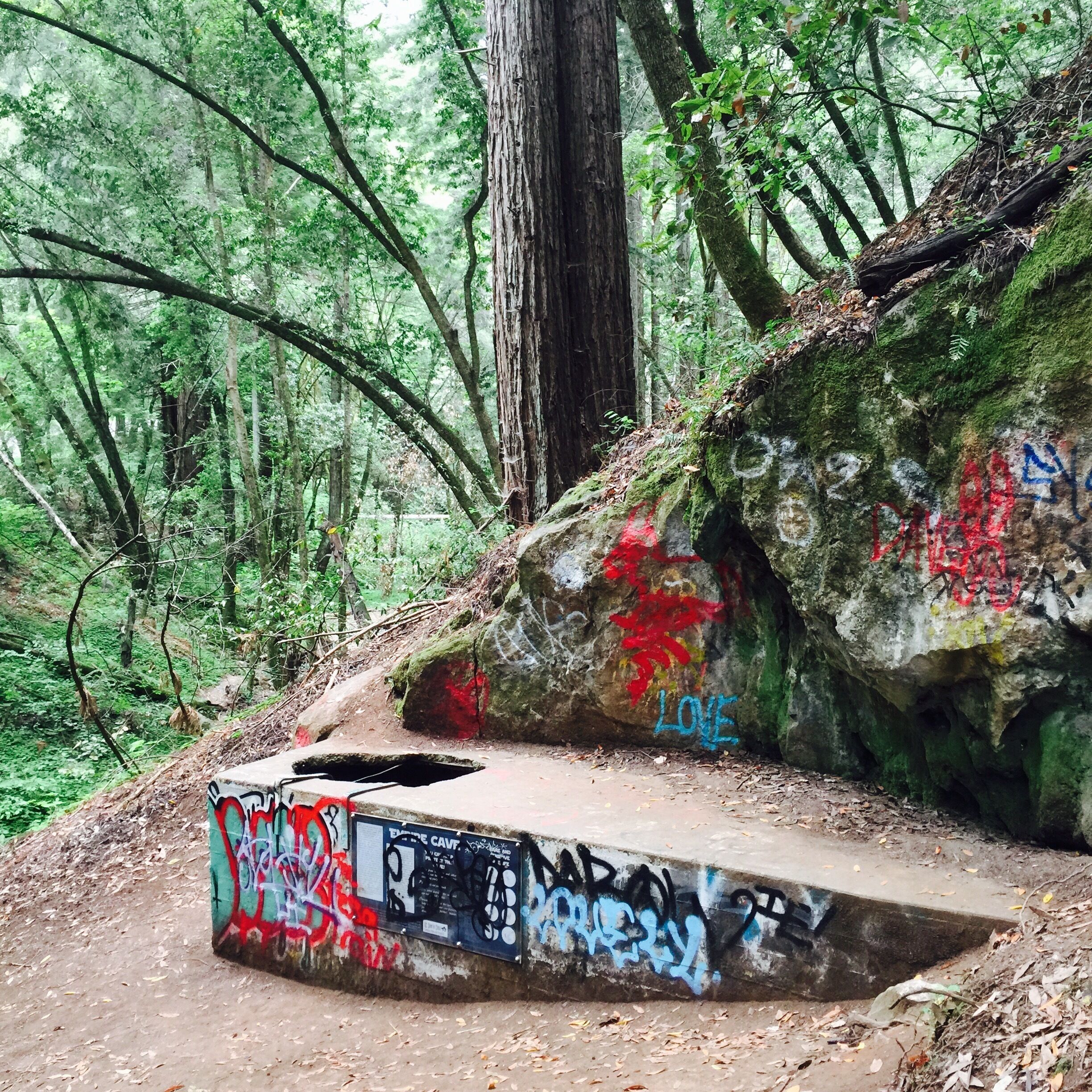 Great place to explore! The cave is smaller than I had hoped but it was still pretty interesting to see! 