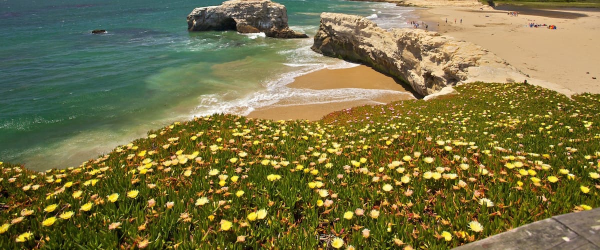 Santa Cruz qui includes scènes tropicales, plage de sable et côte escarpée