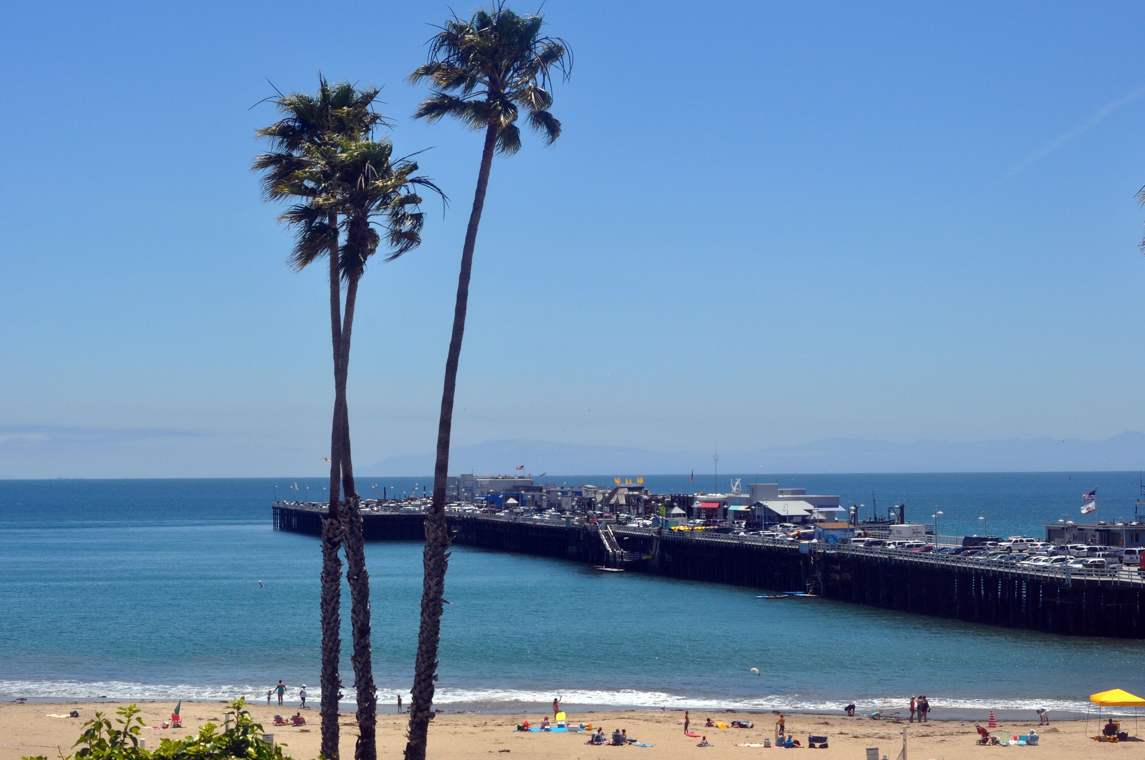 A beach with palm trees, a pier, and a clear blue sky.