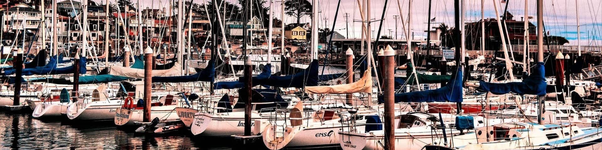 A marina with numerous sailboats docked, surrounded by buildings and trees.