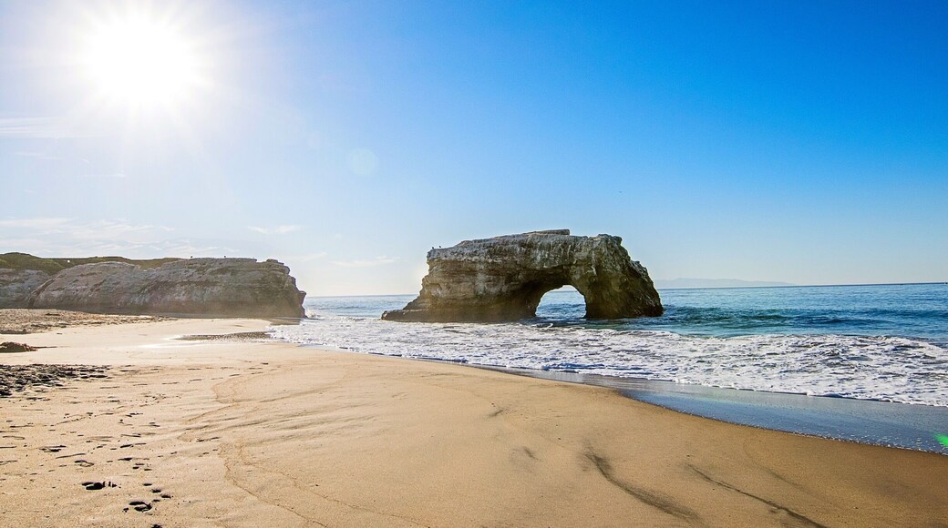 Not only is the beach beautiful but there is a refugee for wintering monarch butterflies! This was also where I saw my first sea lion when I moved here! #beachbound