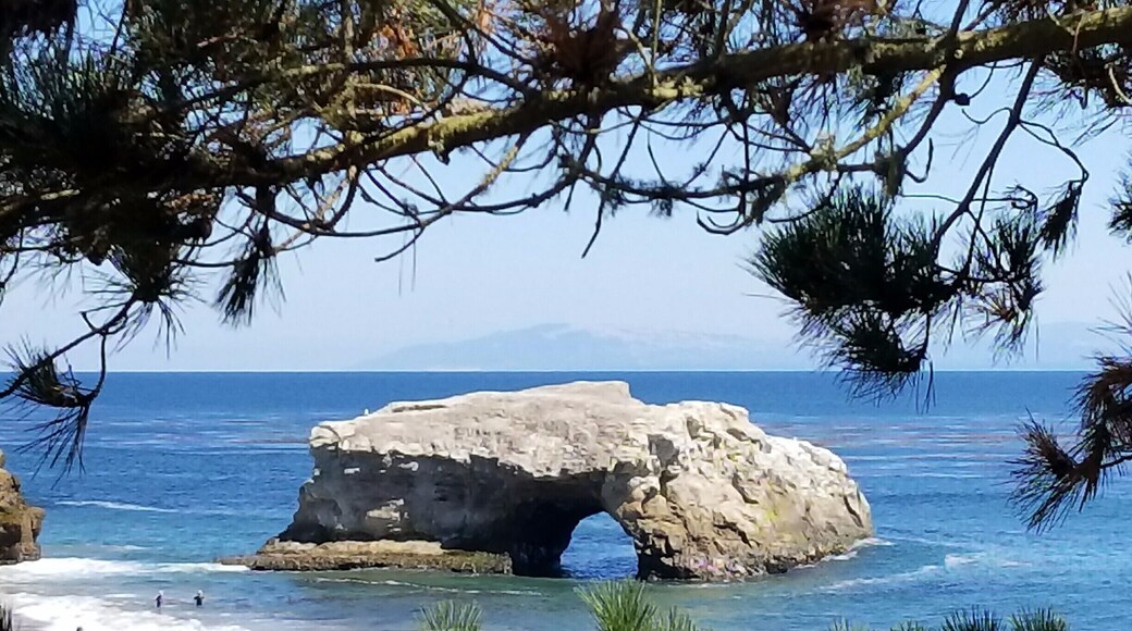 At the end of West Cliff drive and after a nice long hike you will come across this hidden gym. The natural bridges state beach is a great place to relax and enjoy nature after an invigorating hike.#TakeAHike