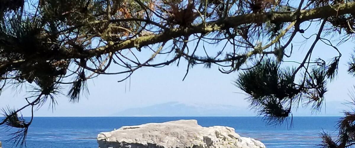 At the end of West Cliff drive and after a nice long hike you will come across this hidden gym. The natural bridges state beach is a great place to relax and enjoy nature after an invigorating hike.#TakeAHike