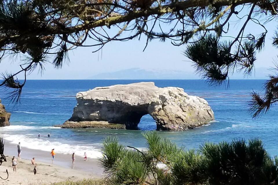 A coastal landscape with a large rock formation featuring a natural arch over the ocean, surrounded by beachgoers and pine trees.