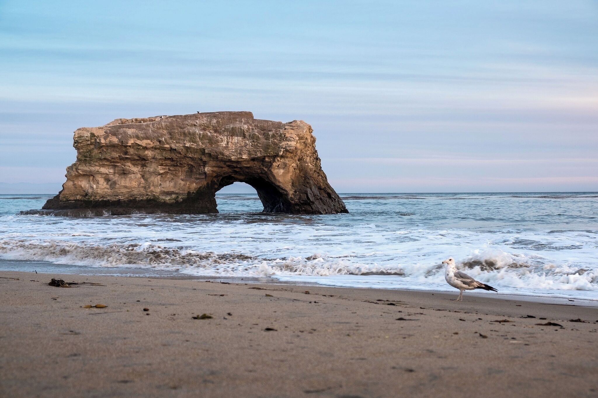 Natural Bridges State Beach is named for the natural arch in the huge rock located in the shore break here. This is one of the most photographed beach icons in the state of California.

We went right before sunset. The beach was slightly crowded but the sunset and rock formation made for beautiful pictures. Finding the butterflies was a bit of a walk (up the hill, across a parking lot and down a zigzaging ramp). The "monach trail" was peaceful and pretty, but it was hard to see any butterflies. I saw one large cluster at the end of the trail. It was high up and looked like a cluster of leaves until I saw them flap. It was a nice stop and nice walk, but it'd probably be better earlier in the day and when the butterflies are flying around.

#likealocal