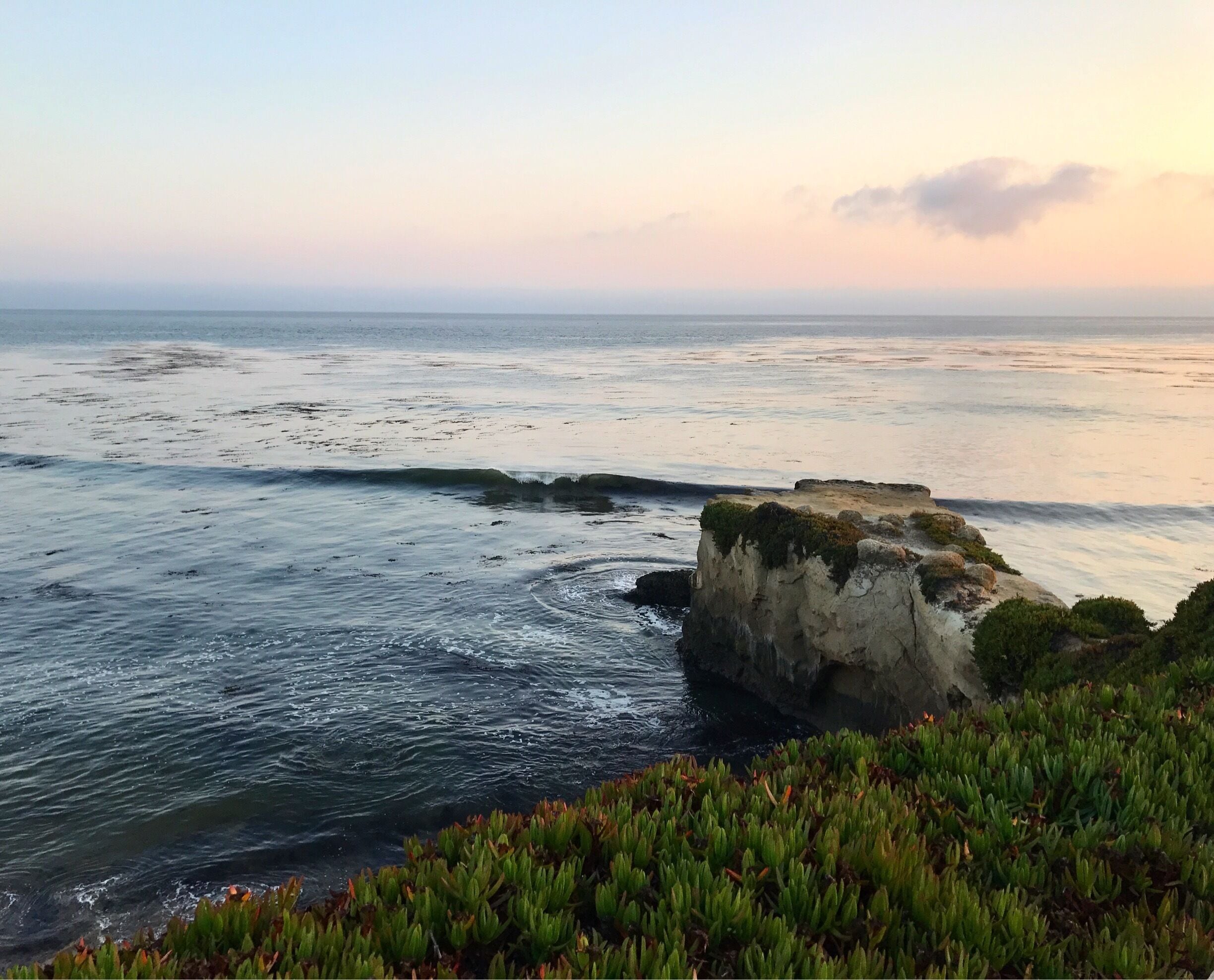 Beautiful shores along the 17 Mile Drive 