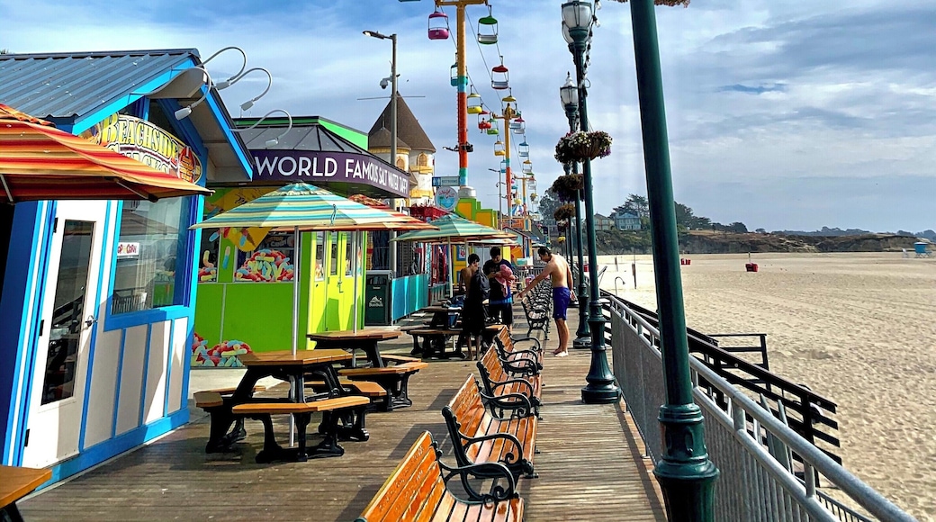 Famous surfing beach town! California