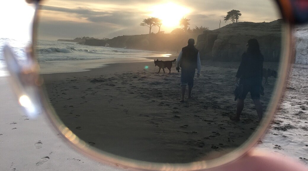 Fresh perspective
#lifeatexpedia
Santa Cruz of all its wealth along coastline has more than boardwalk, surfing and wharf.
It has a dog beach point!
On a sunny dawn my sunny glasses gave a fresh perspective when I was looking at Pumba, my family's German Shepherd prancing along beach.
#freshperspective #santacruz