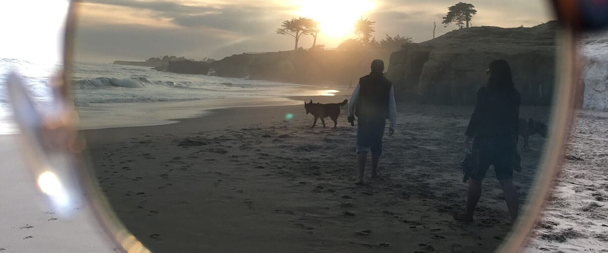 Fresh perspective
#lifeatexpedia
Santa Cruz of all its wealth along coastline has more than boardwalk, surfing and wharf. 
It has a dog beach point!
On a sunny dawn my sunny glasses gave a fresh perspective when I was looking at Pumba, my family's German Shepherd prancing along beach.
#freshperspective #santacruz