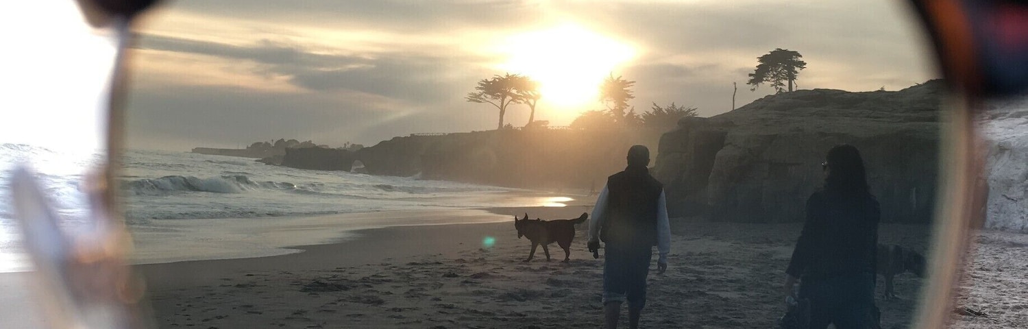 Fresh perspective
#lifeatexpedia
Santa Cruz of all its wealth along coastline has more than boardwalk, surfing and wharf. 
It has a dog beach point!
On a sunny dawn my sunny glasses gave a fresh perspective when I was looking at Pumba, my family's German Shepherd prancing along beach.
#freshperspective #santacruz