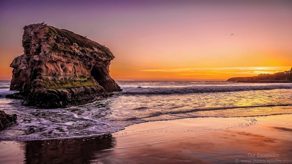 Natural Bridges in Santa Cruz, CA is one of our favorite places to watch the sunset. The color of the sky changes to a golden orange hue that makes this sunset one of the best!