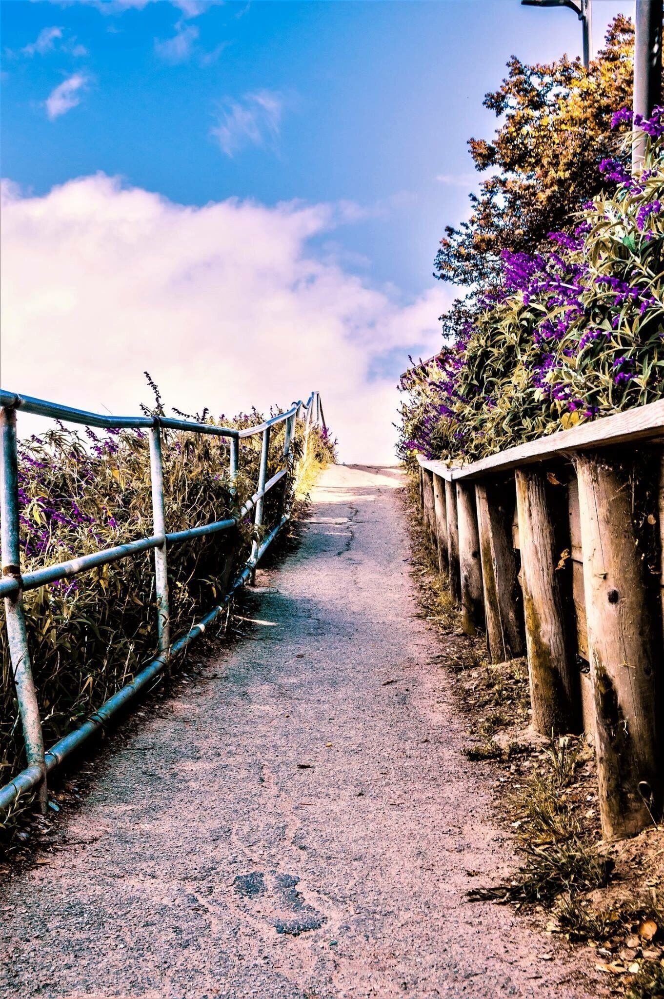 The path going down the the lighthouse is simply gorgeous! 
