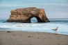 A coastal rock formation with an arch, waves crashing against it, and a seagull standing on the beach.