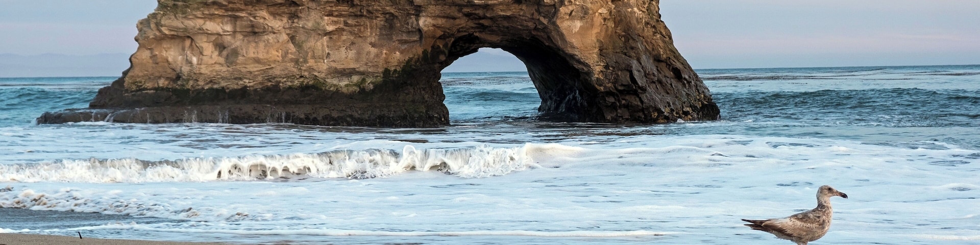 This is a small state park at the northern end of Santa Cruz' scenic West Cliff Drive and a little over a mile from the Boardwalk, wharf and Main Beach. A couple of times a year you can see Monarch butterflies during their migration. They are not in the numbers of years past, but you'll still see some.
If you walk north towards the rocks during low tide you will find some amazing tidepools full of sea anenomes, sea urchins, starfish, crabs, hermit crabs, and all sorts of marine life. The tidepools are on a ledge, so the tide needs to be quite high (>4 ft?) to reach them.
The beach is absolutely stunning at sunset.
#localsecrets