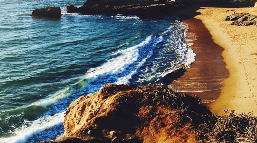 A great little private beach to go with family and away from the crowds from the Santa Cruz Boardwalk.