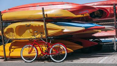 Santa Cruz showing general coastal views