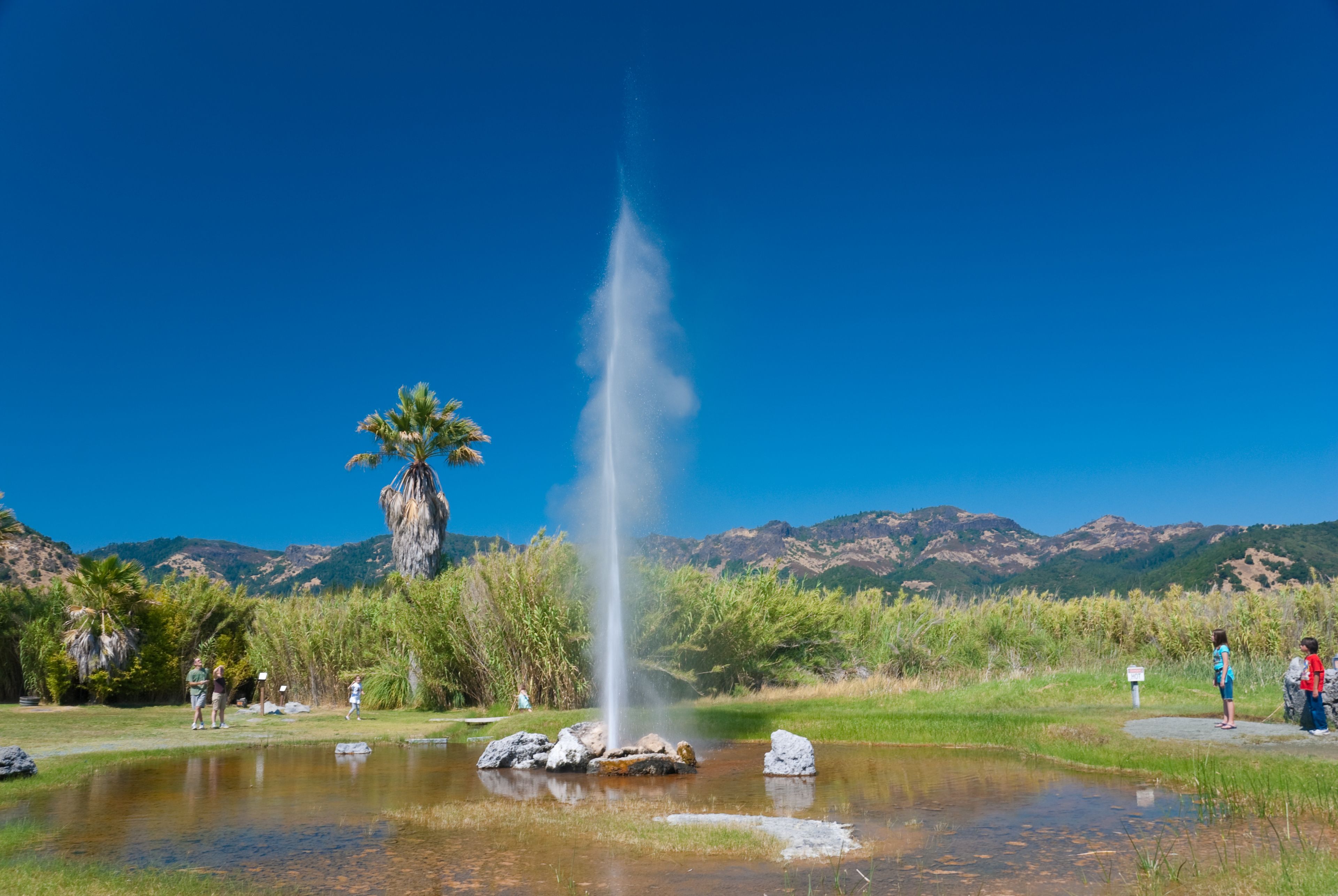A clear blue sky, a tall palm tree, a fountain, and a mountainous landscape.