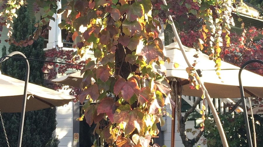 Calistoga... One of the dearest towns I have ever visited. I could just imagine the generations of families that passed through this charming place, with the locals smiling at their joy.
#napavalley #california #calistoga #neon #retro