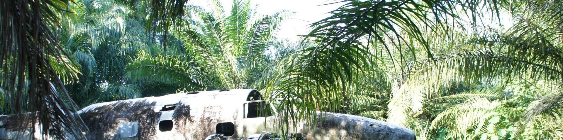 Jungle treks rewarded With WW2 wrecks and stillness.