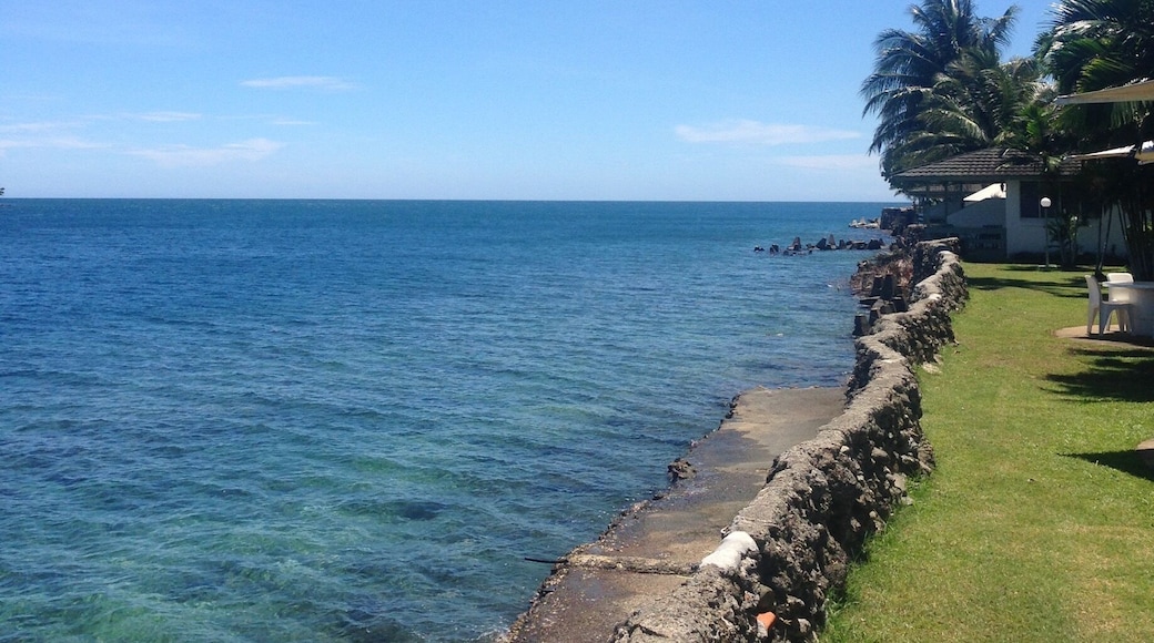 Madang, north of Papua New Guinea
#madang #papuanewguinea #coastline
