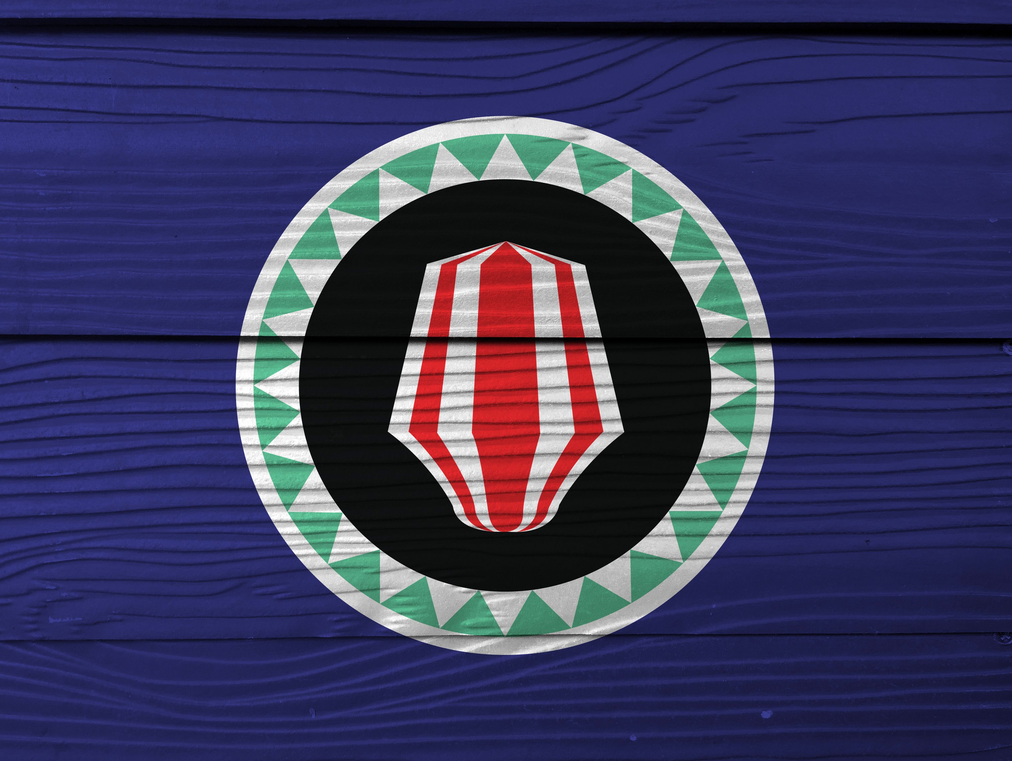 A logo with a shield and a circular border on a blue background.
