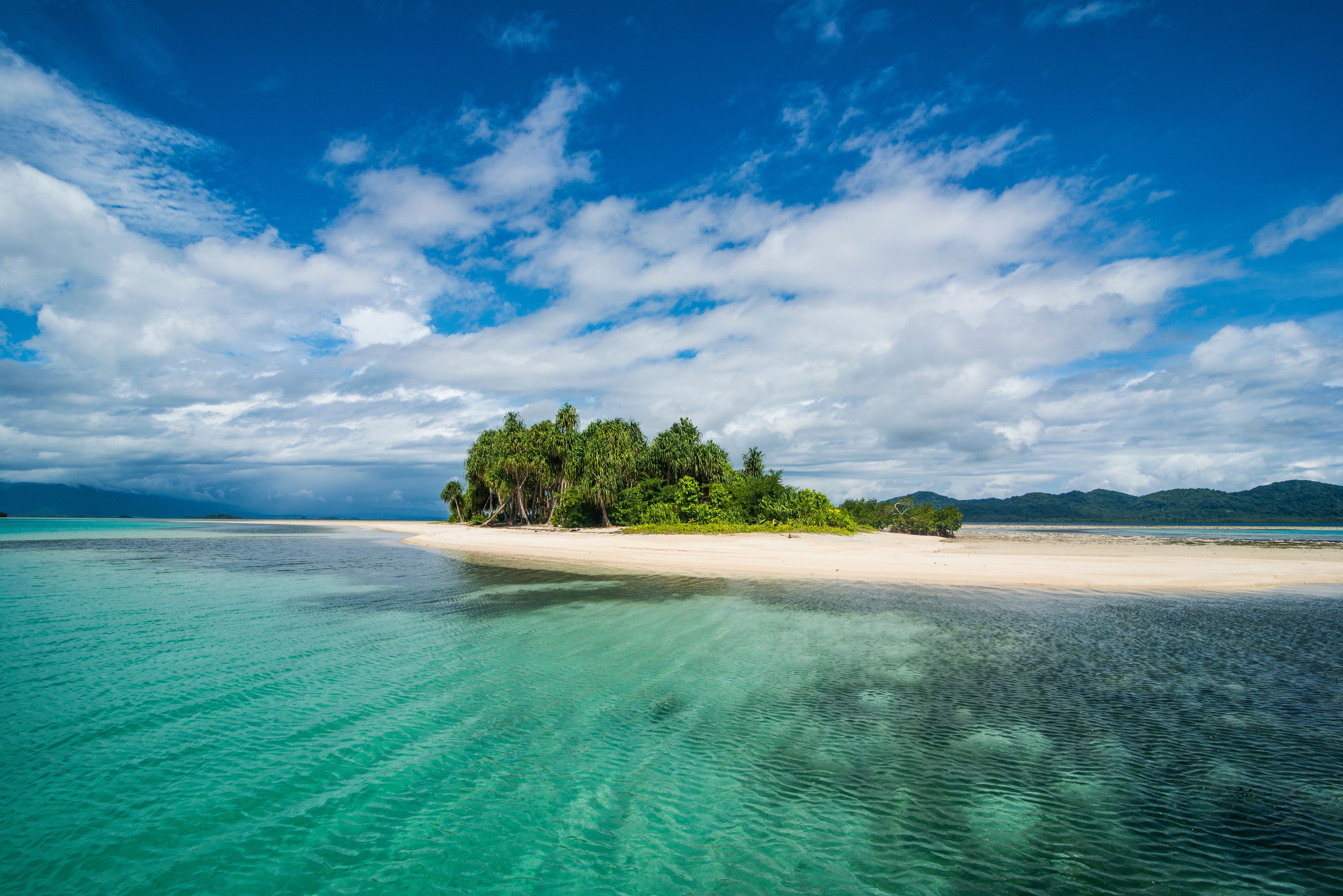 A tropical beach with clear turquoise waters, a sandy shore, and a cluster of trees on a small island.