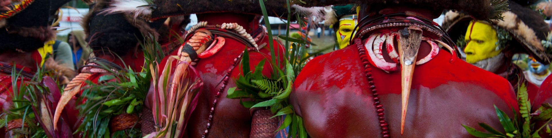 Colorful dressed and face painted local tribes celebrating the traditional Sing Sing in Enga in the Highlands of Papua New Guinea