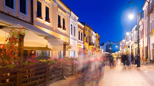 Nightlife of Craiova streets