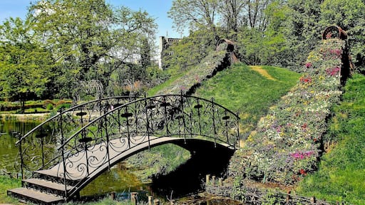 Lovely afternoon in Botanical Garden in April #flowers
#lifeAtExpedia
#GreatGardens